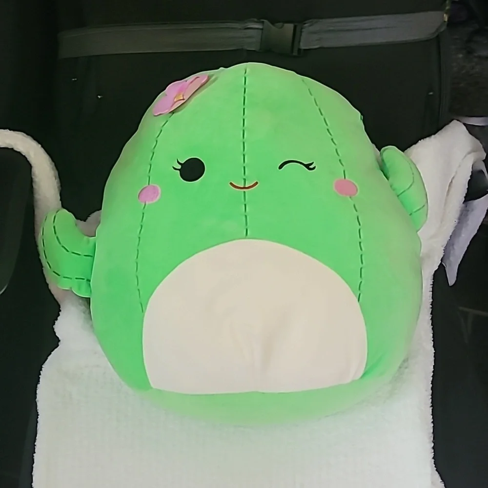Squishmallows 12